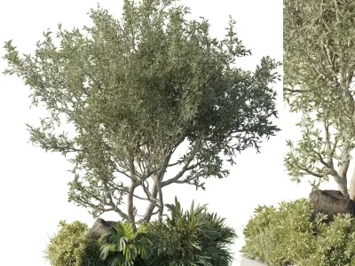 Stand plant in box garden - outdoor plant 178  Low-poly 3D model