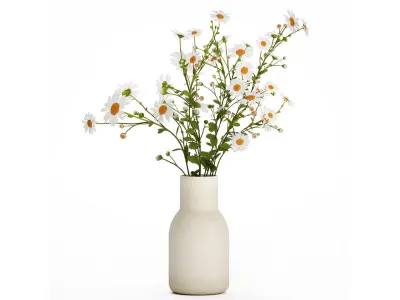 White Flower Bouquet Branch Of Chamomile 525 3D model
