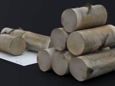 WINTER WOOD LOG 2024 3D model