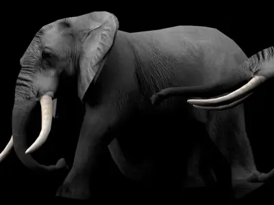 Elephant family 3D model