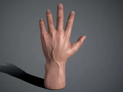Hand Studio Pack  AR VR  Compatible  for Unreal Engine or Unity Low-poly 3D model