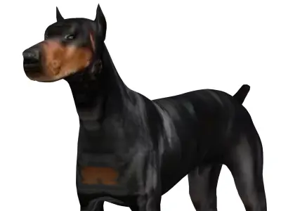 Doberman Dog Low-poly 3D model