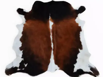 Cowhide Brown And White Rug 3D model