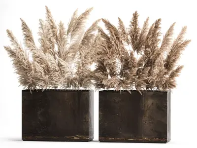 Bouquet Of Dry Reeds and pampas grass  In A Rusty Pots 3D model
