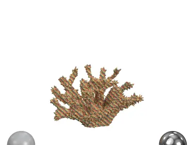 White Spike Coral 3D model