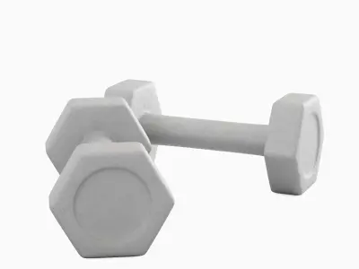 Small Rubber Dumbbell 02  3D model