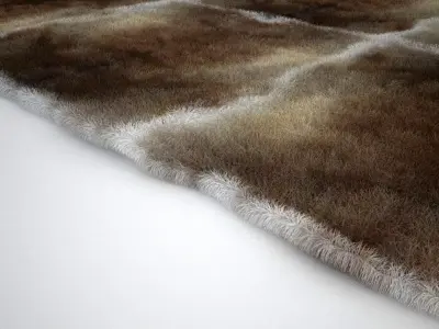 Deerskin Rug 3D model