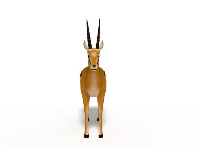 Low Poly Cartoon Thompson Gazelle Low-poly 3D model