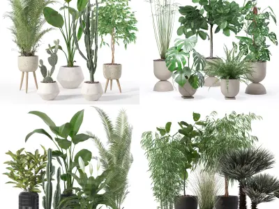 20 Photorealistic Flowers for Interiors - set 119 127 134 142 3D Model Collection