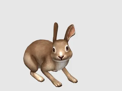 hare rabbit bunny animation  Low-poly 3D model