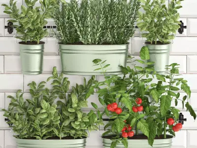 Decorative plants for the kitchen on railing 380 2 3D model