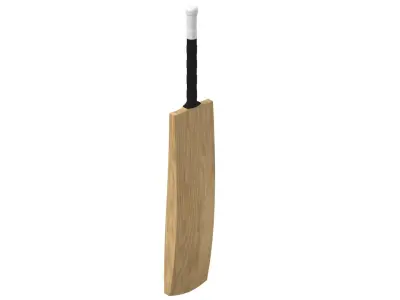 Cricket Bat 3D model buy