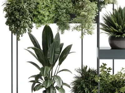 Standing metal shelf with a set of plants in wooden  586 Low-poly 3D model