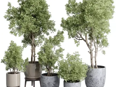 Trees in an old concrete vase outdoor plant set 148 Low-poly 3D model