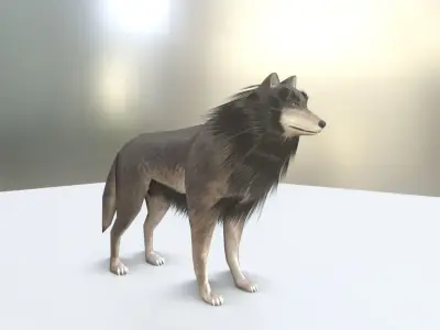 Wolf Rigged Low-poly and Game-Ready Blender-29 Version Low-poly 3D model