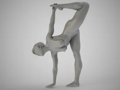 Fitness Exercise 3D print model