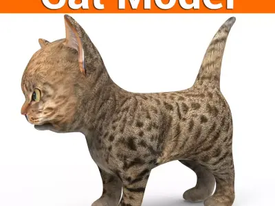 3D Tamed Cute Cat  Low-poly 3D model