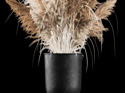 Bouquet Of Dry Reeds In A Black Metal Pot 3D model