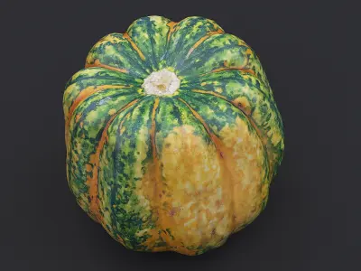 Pumpkin 3D model