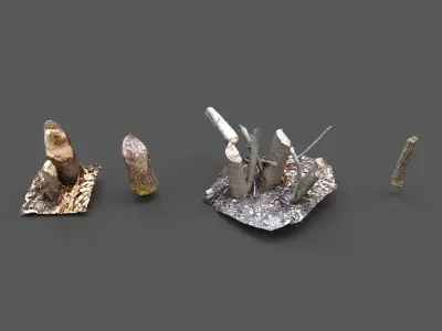 Beaver bitten willow tree stumps pack 3D model