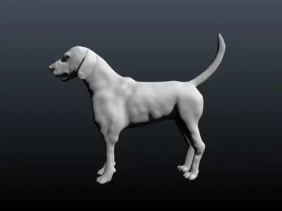 HOUND dog 3D model