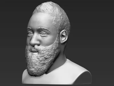 James Harden bust 3D printing ready stl obj formats  3D print model