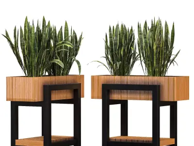 Plant Set 13 3D model