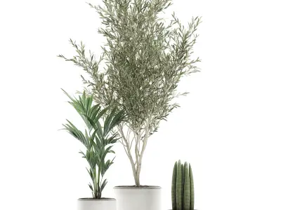 Decorative plants in flowerpots 651 3D model