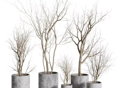 Tree and Dried branches with concrete dirt vase 3D model