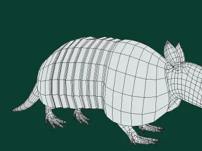 Armadillos Animal Low-poly 3D model
