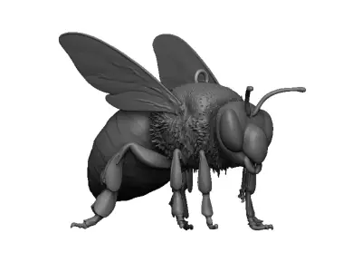 bee pendant 3D print model purchase