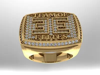 Ring Championship 3D print model