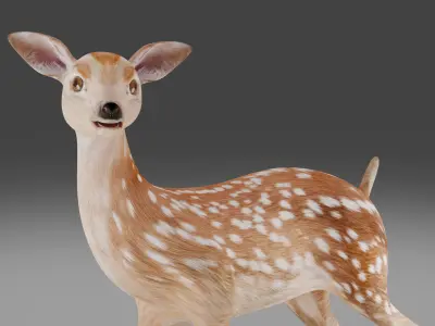Fawn Deer Rigged V1 Low-poly 3D model