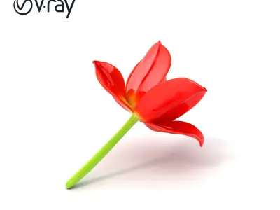 Tulipa Red Flower Vibrant Petals model pack Low-poly 3D model