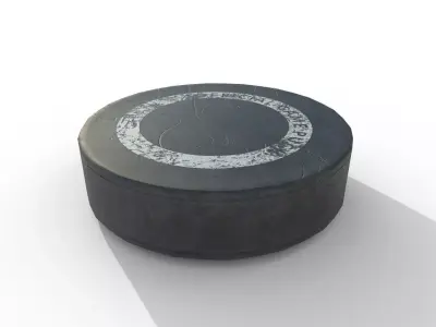 Hockey Puck Low Poly  PBR Textures 3 Types Low-poly 3D model