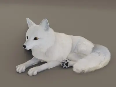 Arctic Fox  3D model