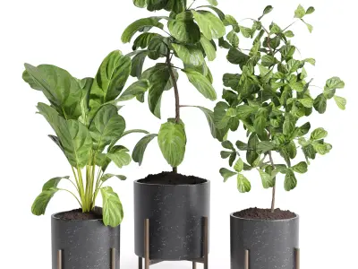 Indoor plants 25-marble vase 3D model