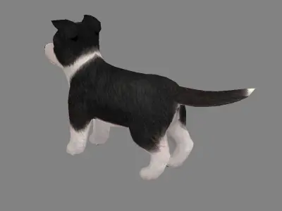 Cartoon pet puppy - Bianmu - baby dog Low-poly 3D model