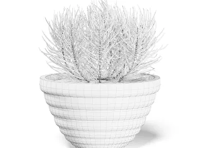 Plant in Black Pot 3D Model 3D model
