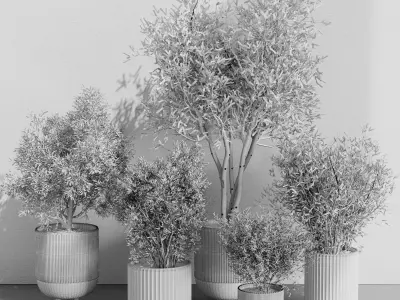 Indoor plant set 362 concrete vase plant tree shrub Low-poly 3D model