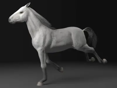 Horse model running 3D model