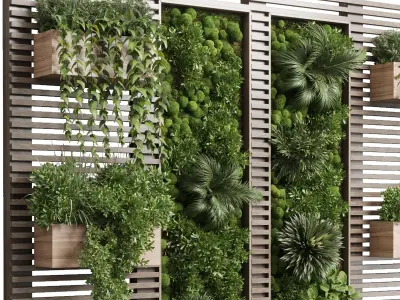 plants set partition in wooden frame - Vertical moss graden 3D model