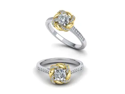 Paradise design Halo ring Own design  N10309 3D print model