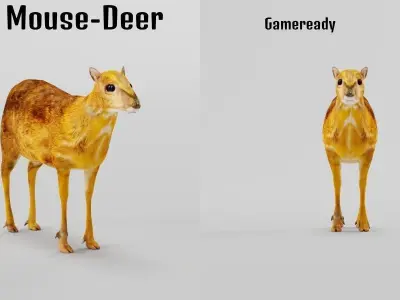 Fanged Mouse-Deer Chevrotain Animal Low-poly 3D model