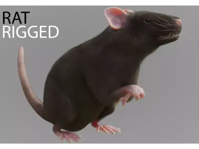 RET FOR VFX CGI 3D model