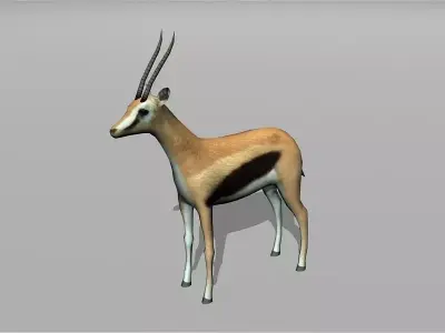 gazelle Low-poly 3D model