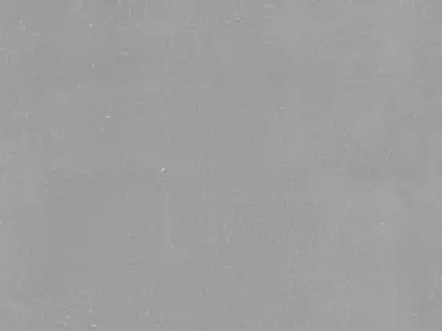 Forged flower Free 3D model