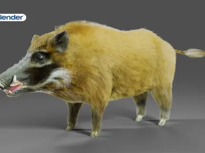 Fur Wild Boar V05 NO Rigged Low-poly 3D model
