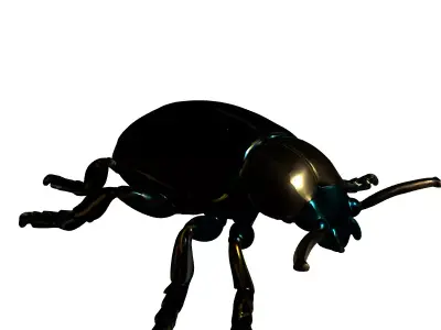 Luxury Golden Metallic Beetle Model Low-poly 3D model