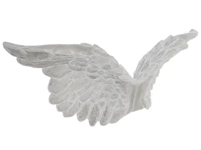 Detailed Angelic Mythological Wings 3D Print Model  3D print model